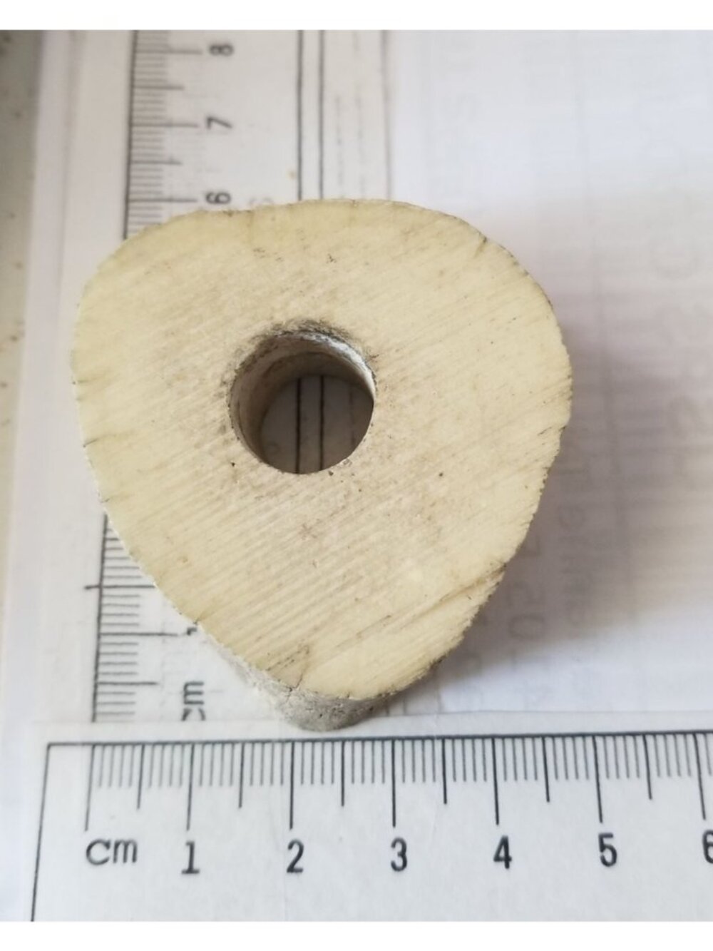 Petrified Wood Candle Holder Air Plant 5 cm x 6 cm  11 cm x 1 cm Hole in the mid